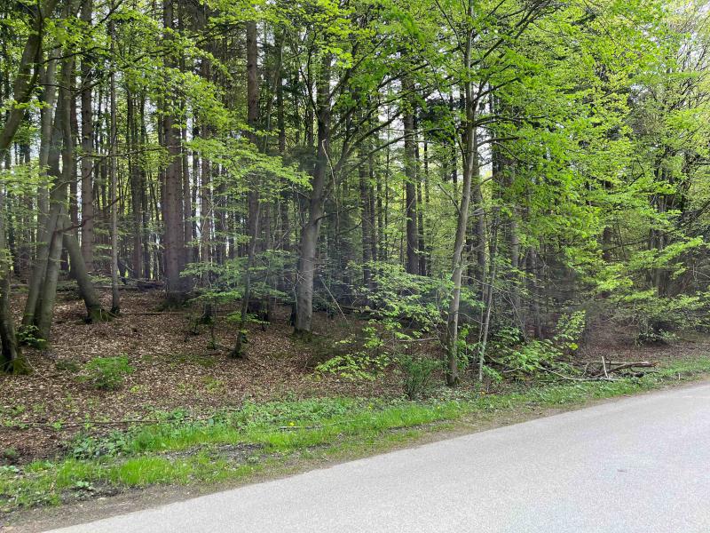 Vergrößern