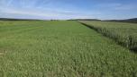 Hohes J�rg Gut