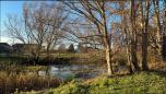 Der Teich
