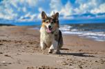  Natur und Freiheit an der Ostseek�ste